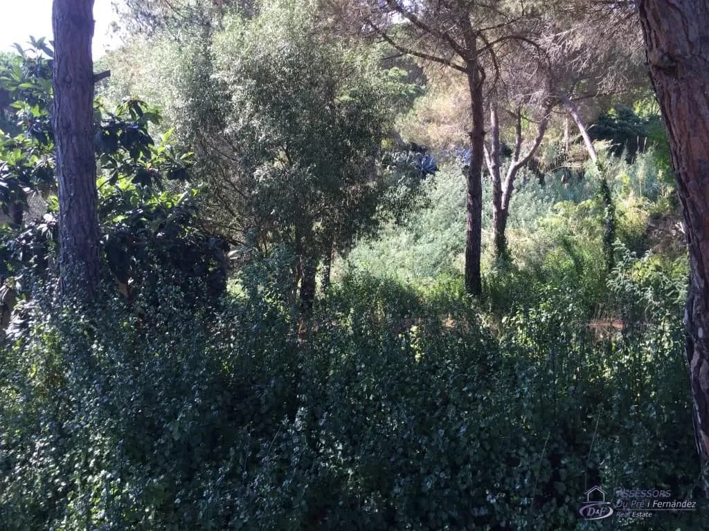 View 2