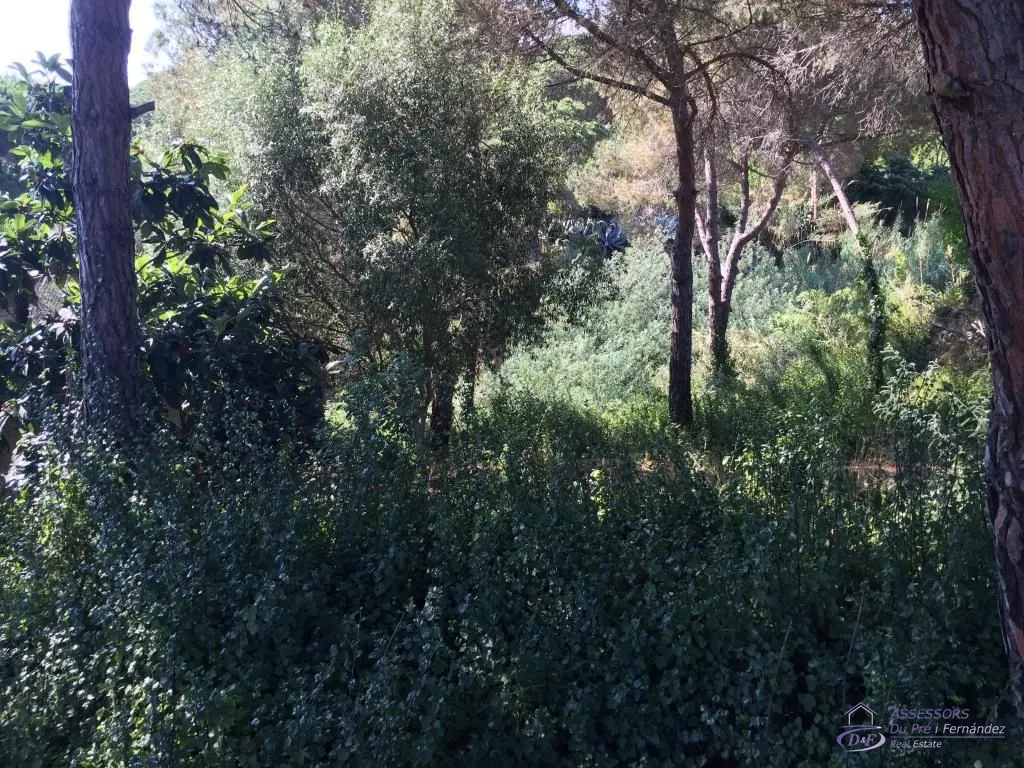 View 3