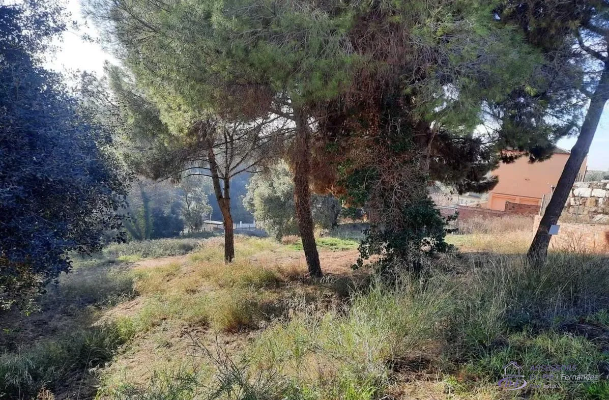 View 2