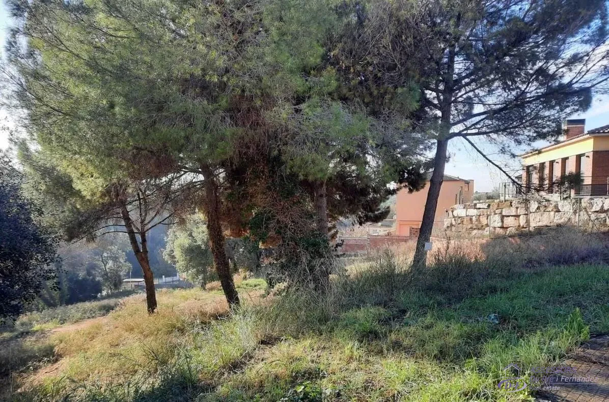 View 5